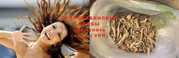 твердый Снежногорск