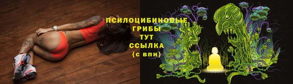 прущие крисы Снежинск