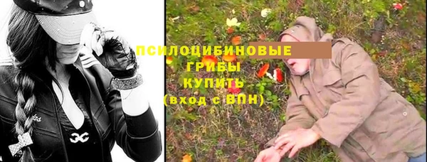 соль ск Зеленокумск