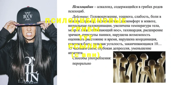 соль ск Зеленокумск