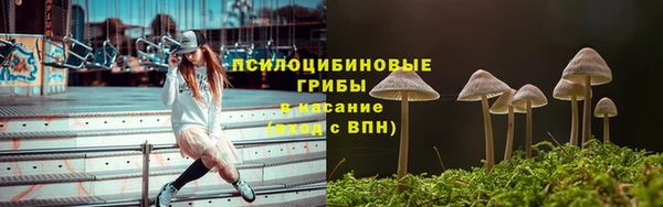 твердый Снежногорск