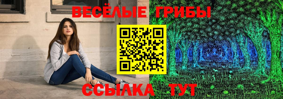 Галлюциногенные грибы Psilocybe Сибай