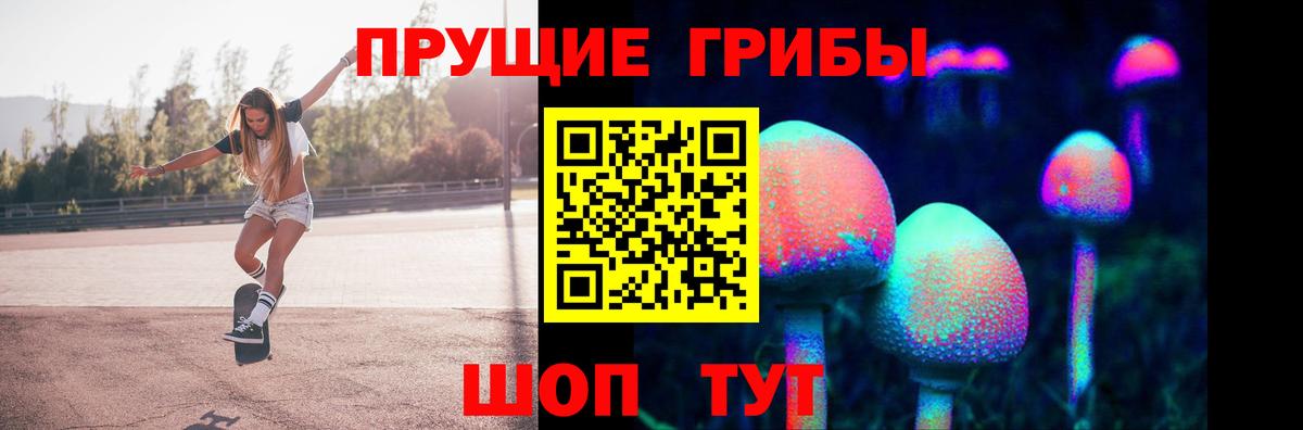 Сибай  Галлюциногенные грибы мицелий  Вход с VPN 